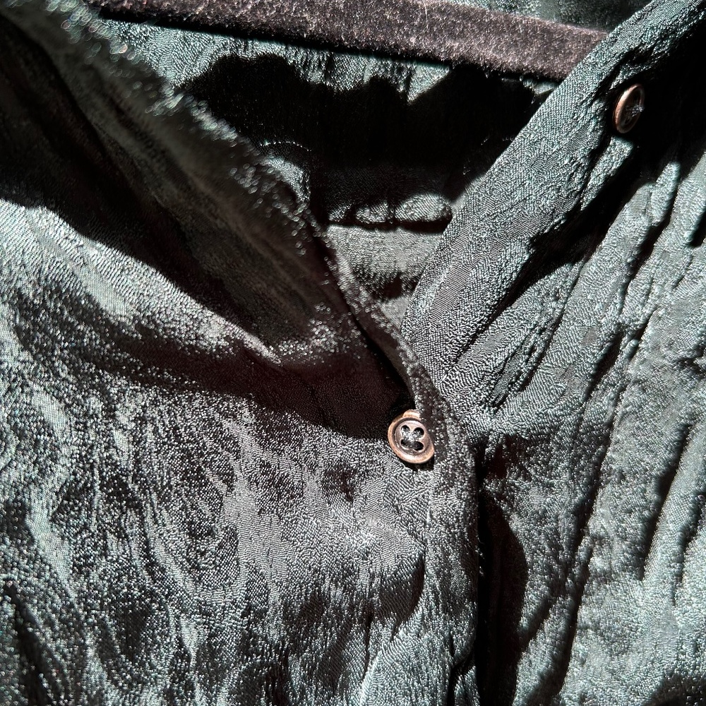 Hudson Cropped Button Up - image 3